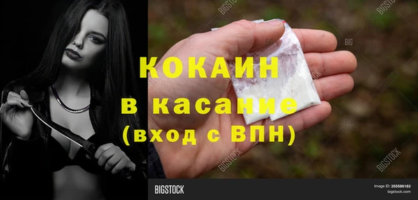 ПСИЛОЦИБИНОВЫЕ ГРИБЫ Алексин