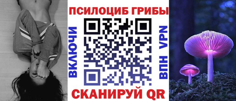 Псилоцибиновые грибы Psilocybine cubensis  Андреаполь 